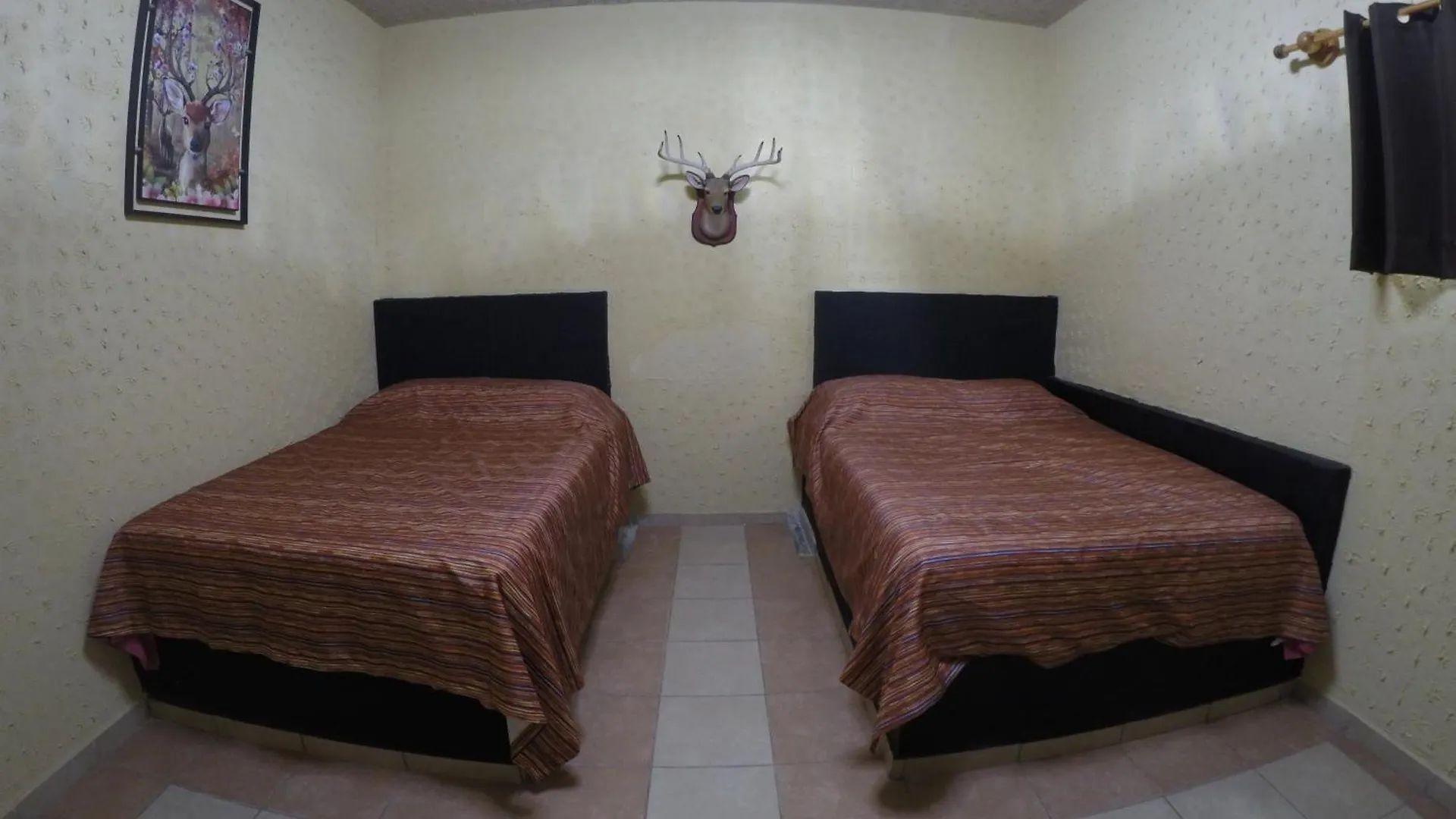 Hospedaje La Mexicana Guadalajara Mexiko